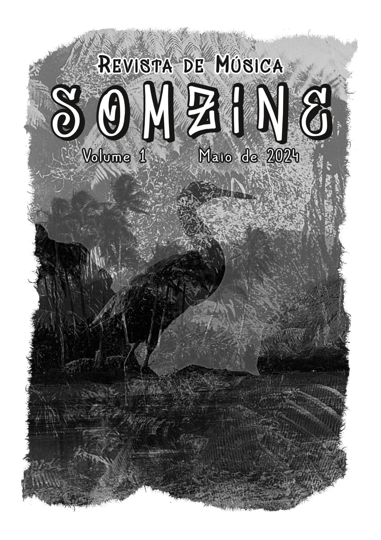 Somzine 1