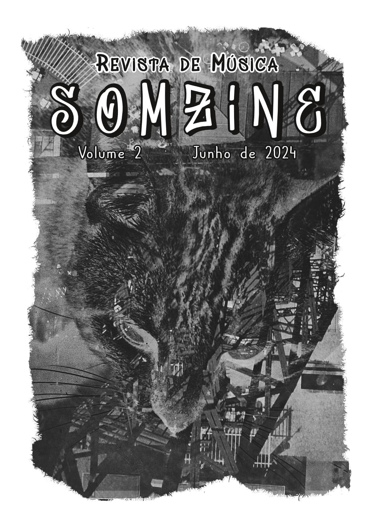 Somzine 2