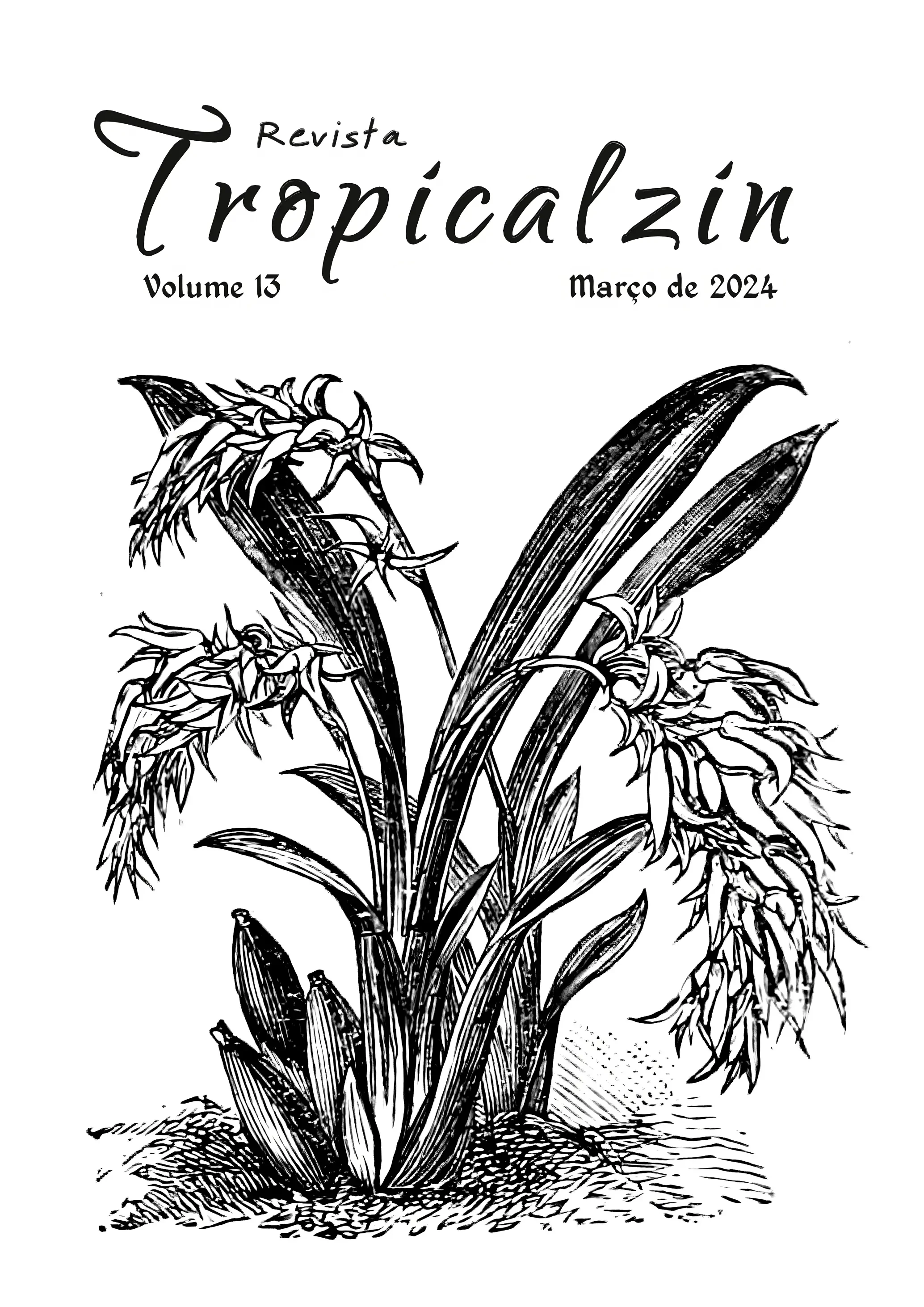 Tropicalzin 13